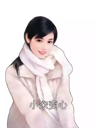 小宋变心小说