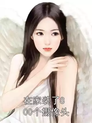 在家装了800个摄像头小说