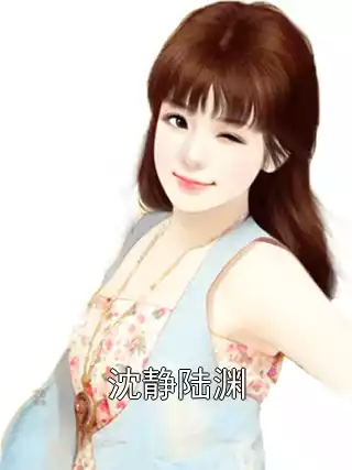 沈静陆渊小说