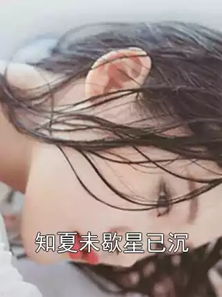 知夏未歇星已沉小说
