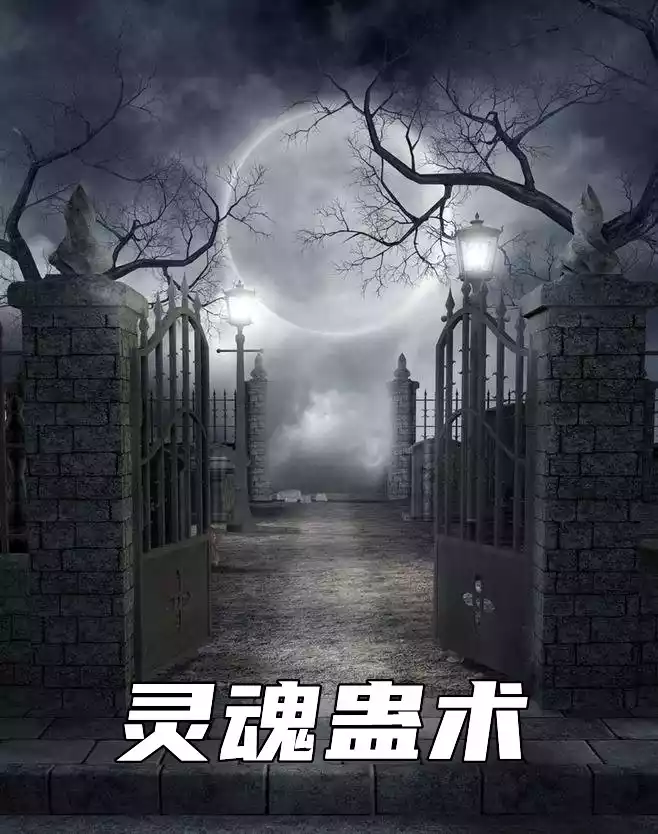 灵魂蛊术小说