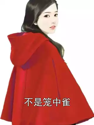 不是笼中雀小说