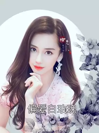 偏爱白玫瑰小说