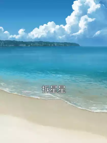 拆星星小说