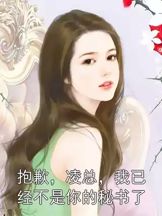 抱歉，凌总，我已经不是你的秘书了小说