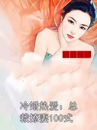 冷婚热爱：总裁撩妻100式小说