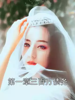第一章三百万债务小说