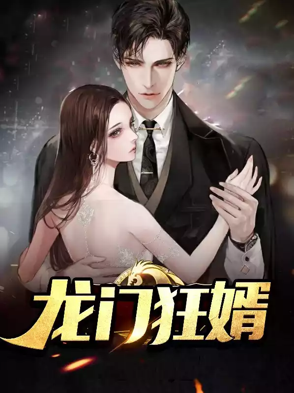 龙门狂婿小说