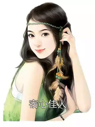 窃心佳人小说