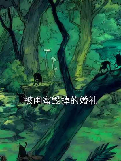 被闺蜜毁掉的婚礼小说