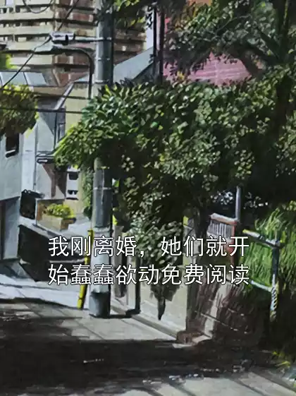 我刚离婚，她们就开始蠢蠢欲动免费阅读