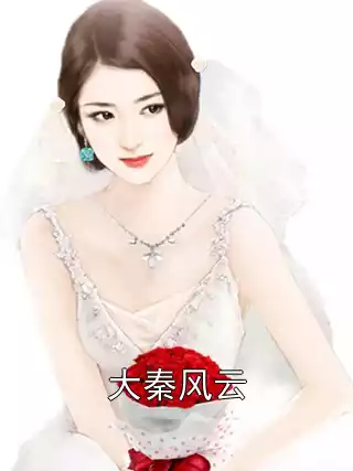 大秦风云小说