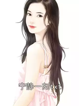 宁静一刻txt小说