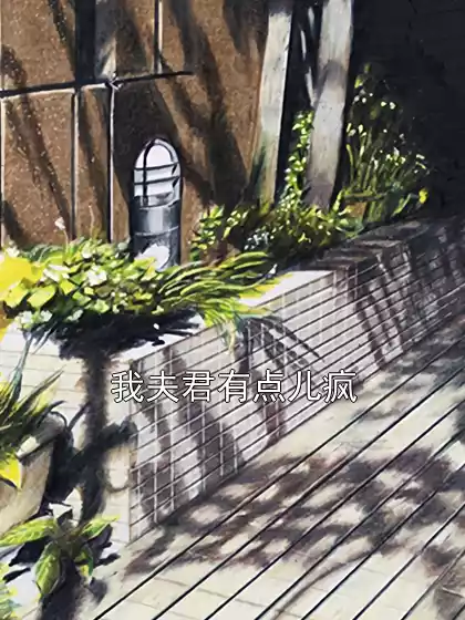 我夫君有点儿疯