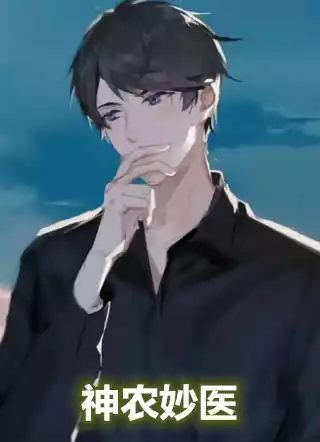 神农妙医小说