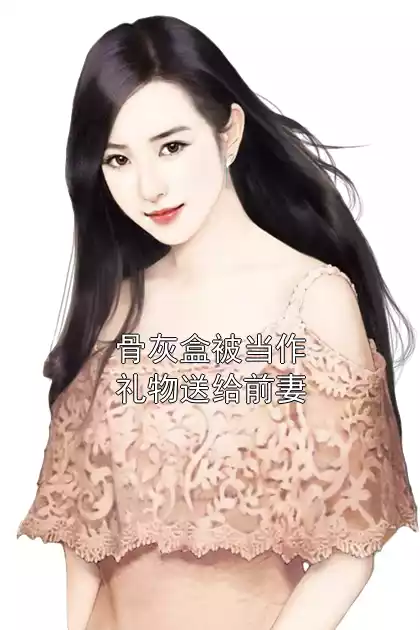 骨灰盒被当作礼物送给前妻小说