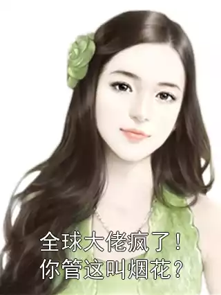 全球大佬疯了！你管这叫烟花？小说