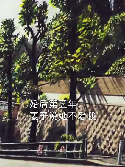婚后第五年，妻子说她不爱我小说