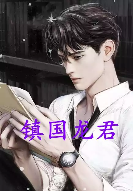 镇国龙君小说