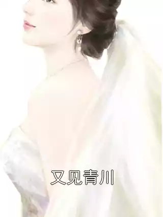 又见青川小说