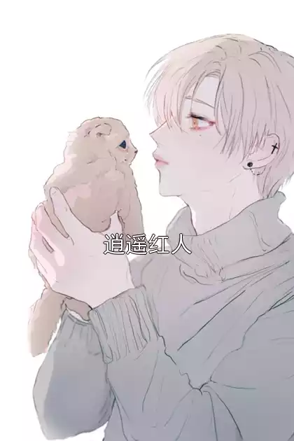 逍遥红人小说