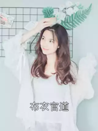 布衣官道小说