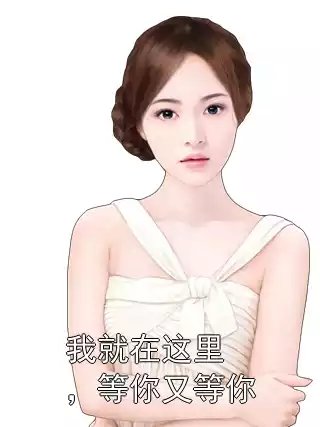 我就在这里，等你又等你小说