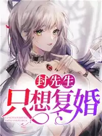 封先生只想复婚小说