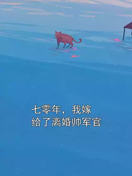 七零年，我嫁给了离婚帅军官小说