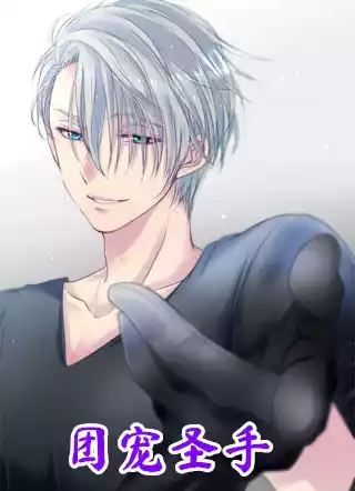 团宠圣手小说