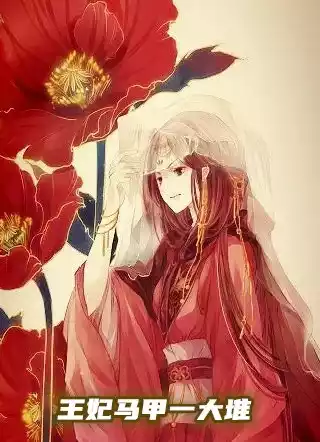 王妃马甲一大堆小说