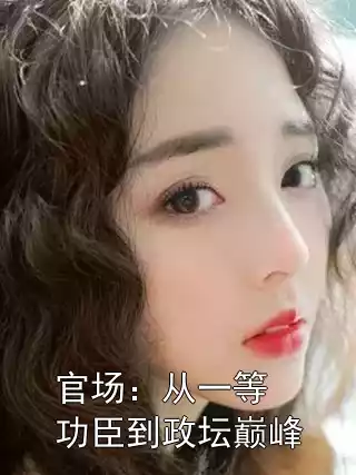 官场：从一等功臣到政坛巅峰