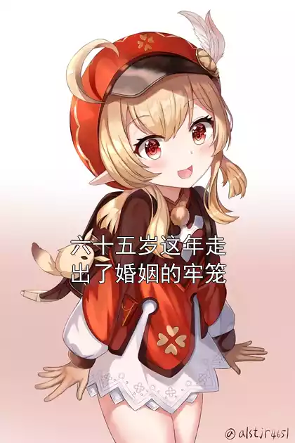 六十五岁这年走出了婚姻的牢笼小说