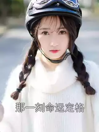 那一刻命运定格小说