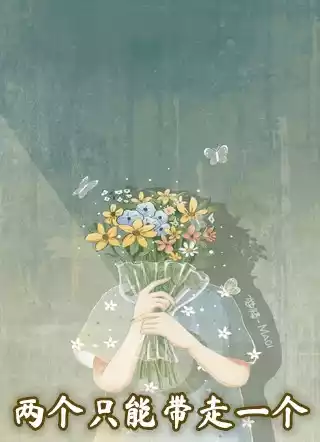 两个只能带走一个小说