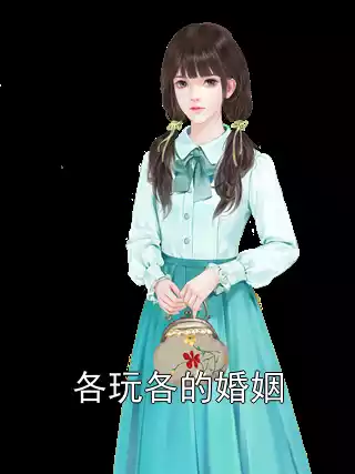 各玩各的婚姻小说