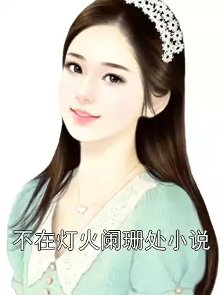 不在灯火阑珊处小说小说