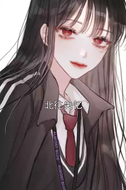 北往失忆小说