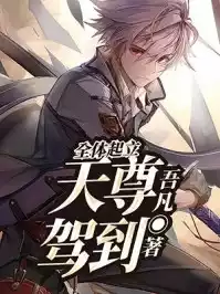 全体起立天尊驾到小说