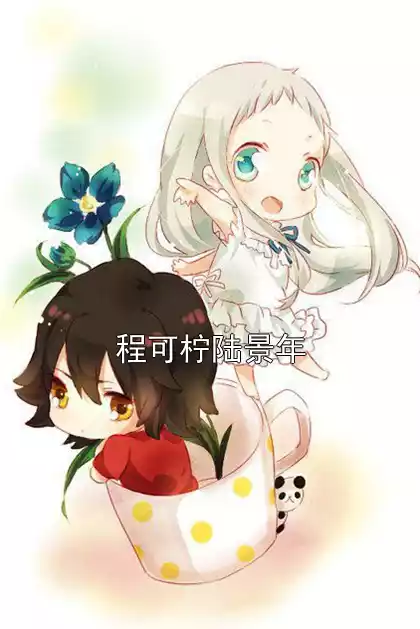 程可柠陆景年小说