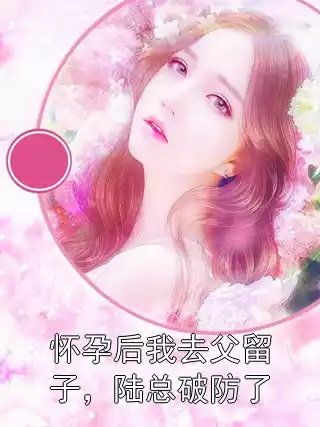 怀孕后我去父留子，陆总破防了小说