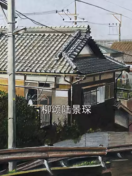 柳颂陆景琛小说