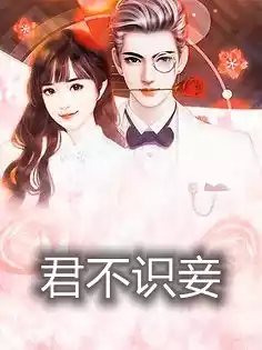 君不识妾小说