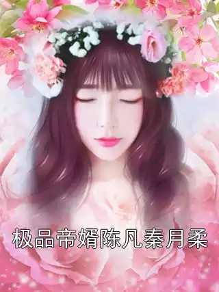 极品帝婿陈凡秦月柔