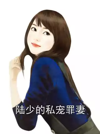 陆少的私宠罪妻