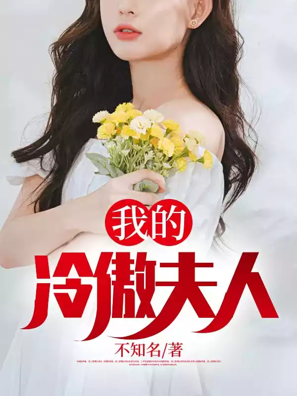 我的冷傲夫人小说