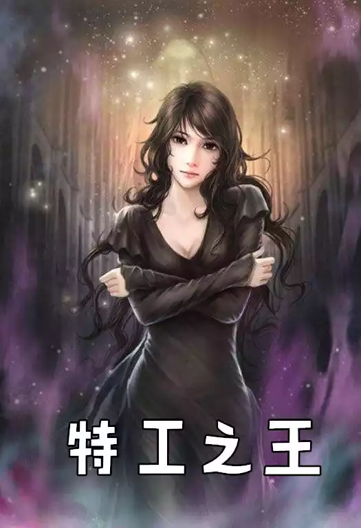 特工之王小说