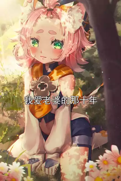 我爱老婆的那十年小说