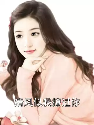 清风似我撩过你小说