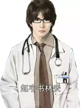赵宇书林安小说